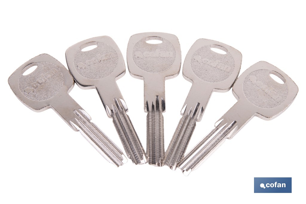 Llave en bruto para cilindros de seguridad | Compatible con Silca y JMA | Acero niquelado - Cofan