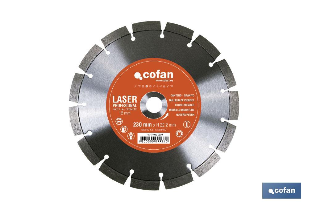 Professional diamons discs "segmented model" - Cofan