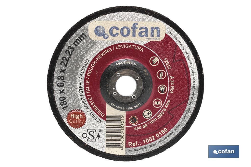 Gama profissional de discos de desbaste - Cofan