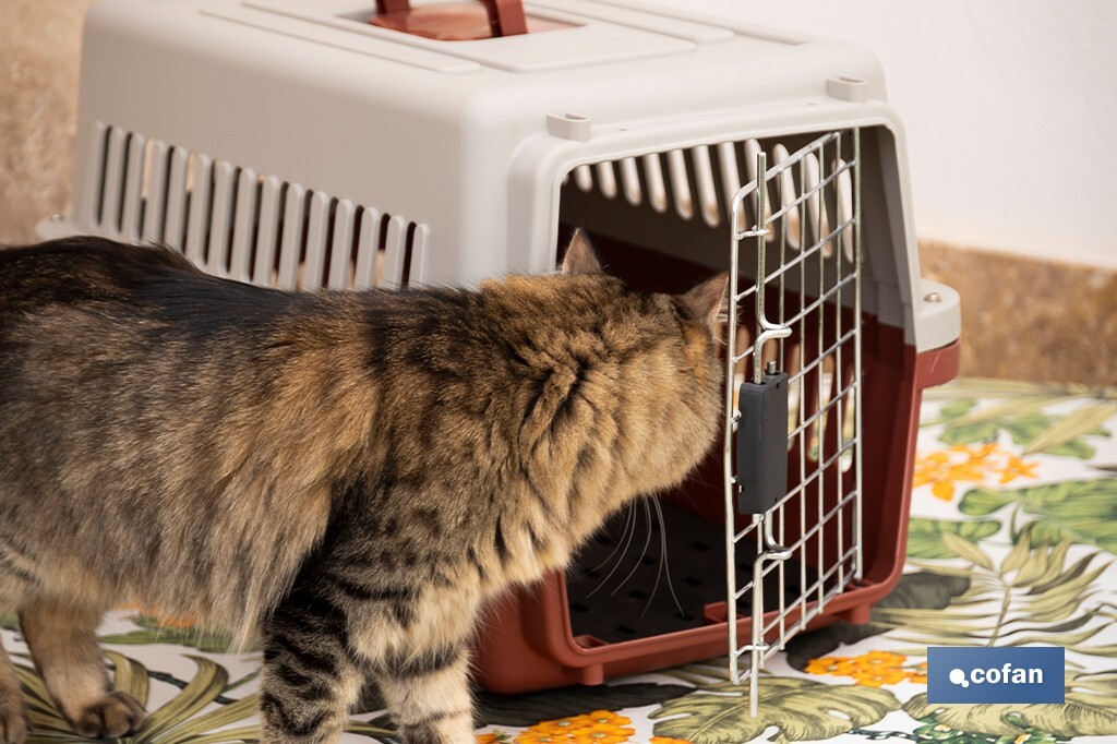 Caisse de Transport pour Animaux de Compagnie | Dimensions : 58 x 37 x 35 cm - Cofan