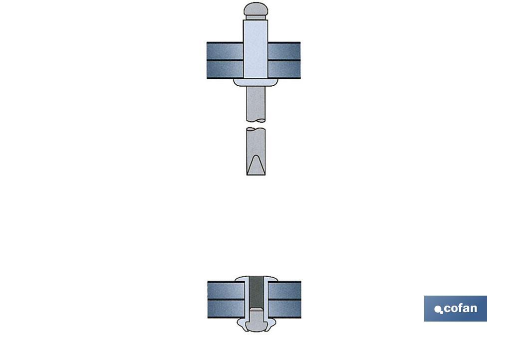 Standard aluminium rivets, large head, standard blister - Cofan