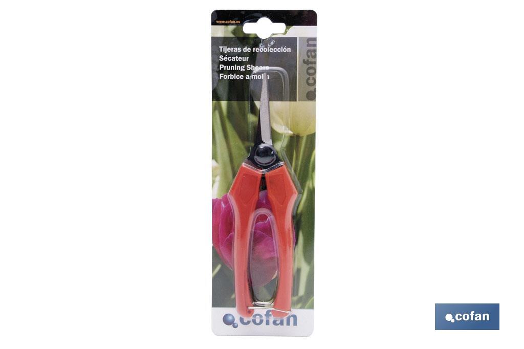 Leseschere 190 mm Glasfaser-Griff - Cofan