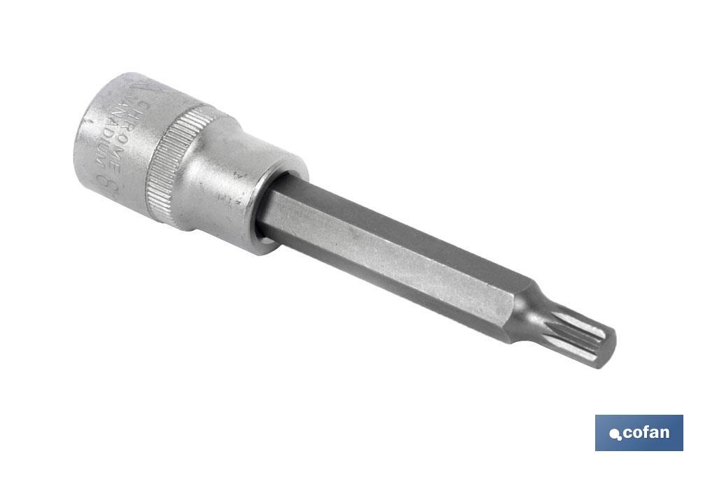 1/2" screwdriver bit socket | High-quality chrome-vanadium steel | With long XZN10 tip - Cofan