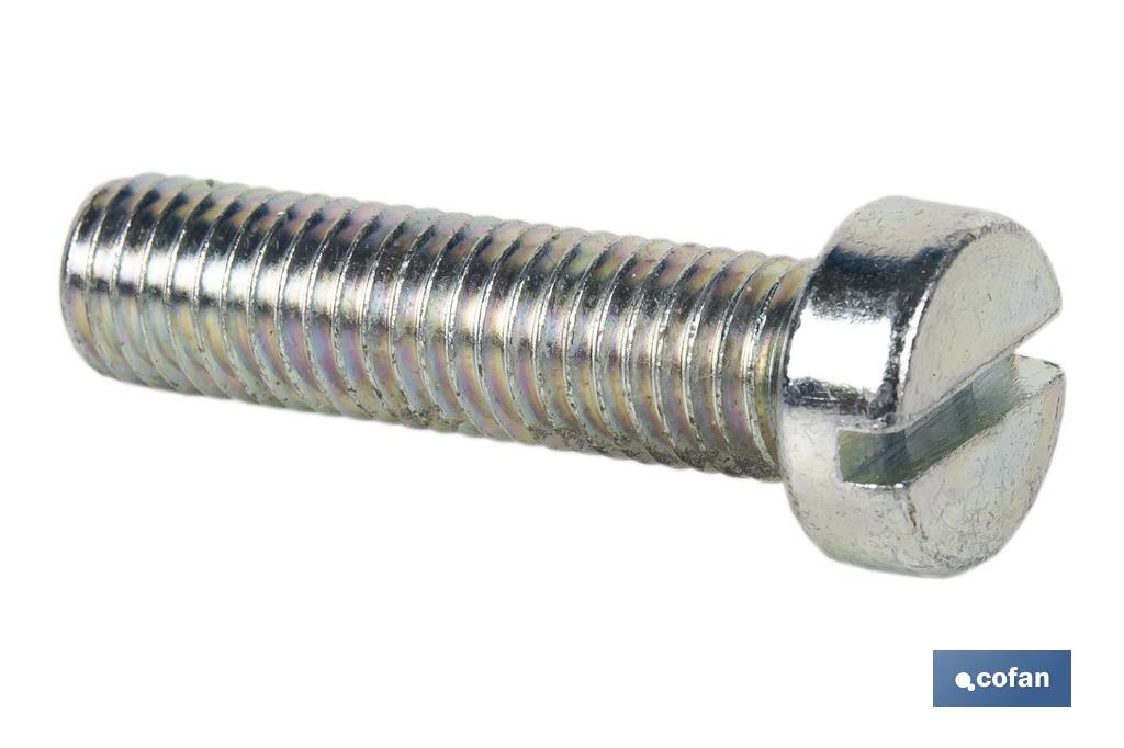 Screw, DIN 84, zinc plated - Cofan