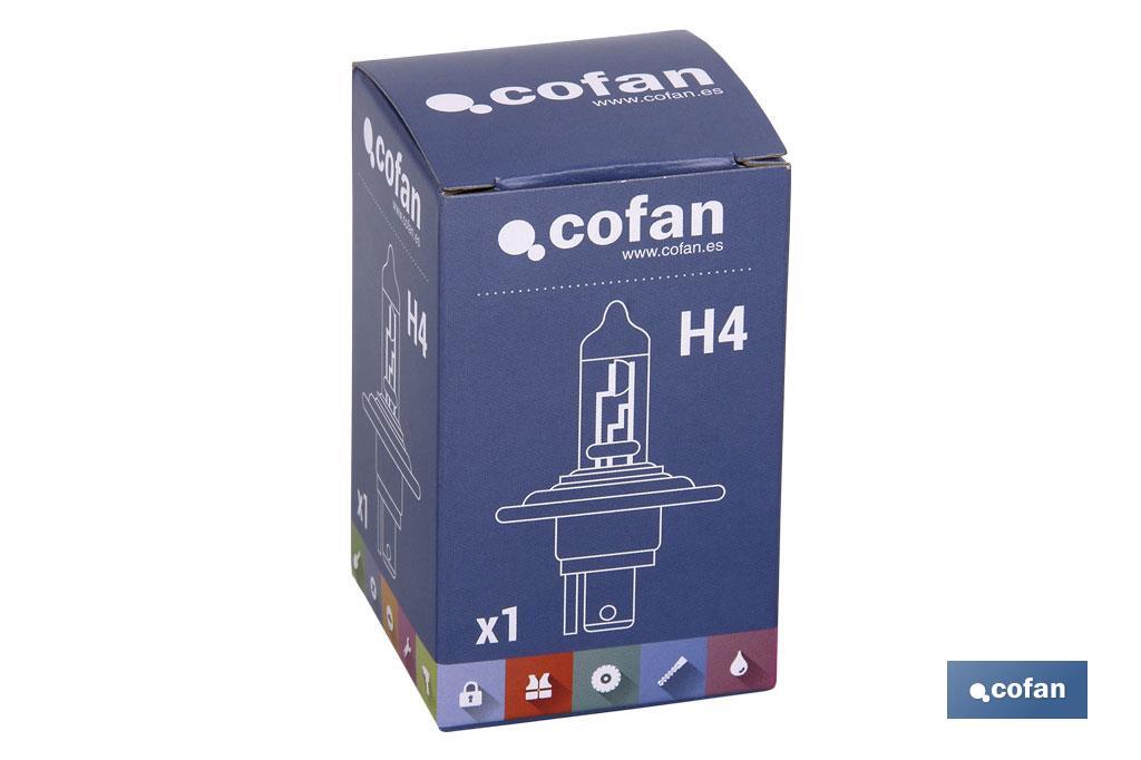 H-4 - Cofan