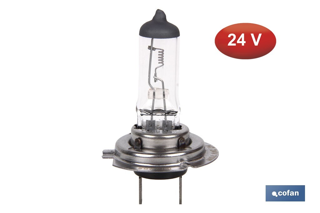 Lámpara halógena H7 (Px26d) 24 V 70 W | Pack: 10 unidades - Cofan