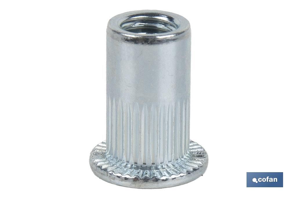 Steel slotted wide head rivet nuts - Cofan