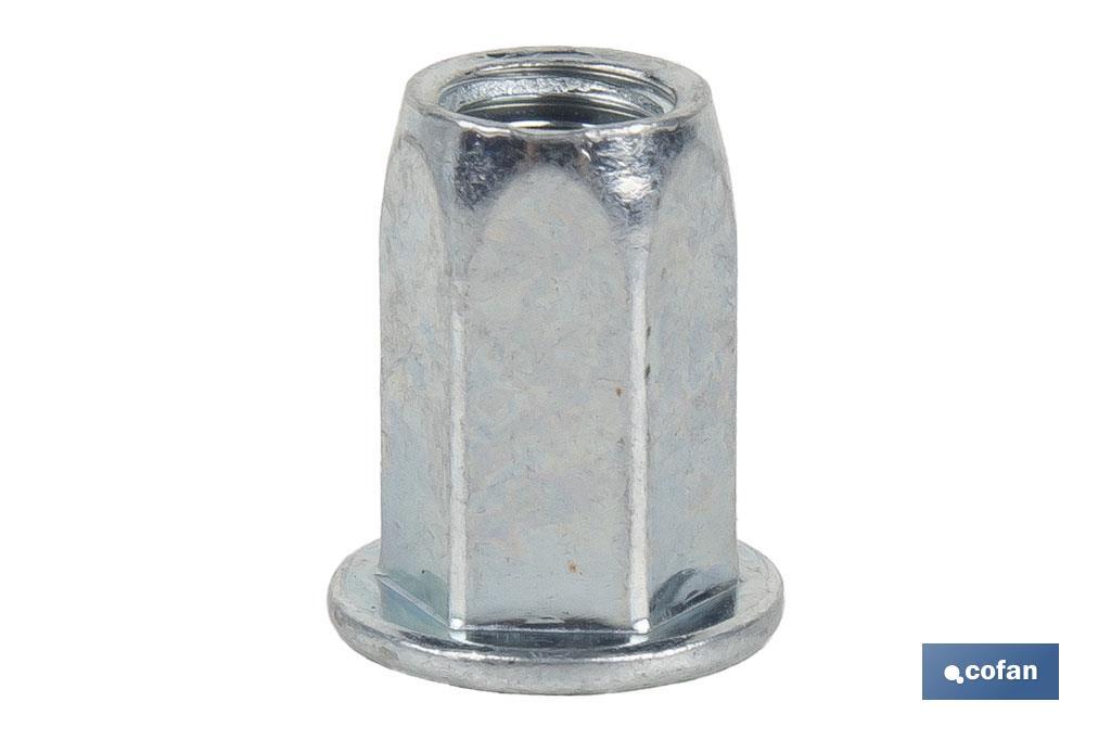 Steel "hexagonal" wide head rivet nuts - Cofan