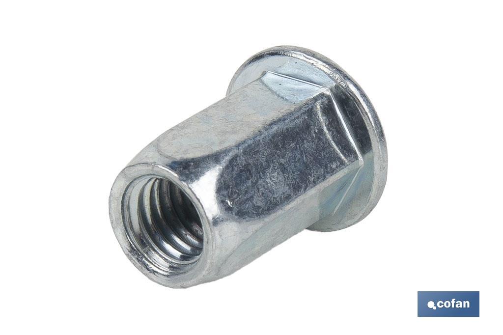 Steel "hexagonal" wide head rivet nuts - Cofan