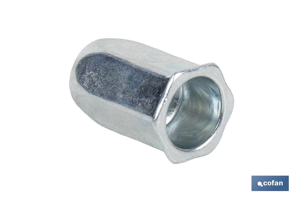 Steel "hexagonal" low head rivet nuts - Cofan