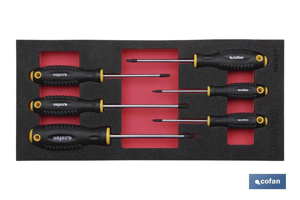 Módulo de espuma con herramientas  | Para 1/3 cajón del carro de herramientas cofan | Destornilladores torx 6 piezas - Cofan