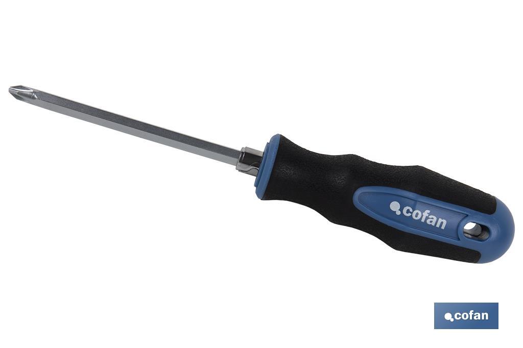 Double ended stubby Phillips and slotted screwdriver PH2 | Available lengths in 38 and 100mm | Ø6mm shank - Cofan