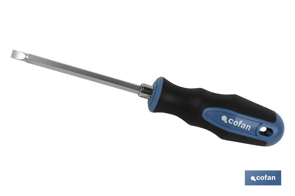 Double ended stubby Phillips and slotted screwdriver PH2 | Available lengths in 38 and 100mm | Ø6mm shank - Cofan