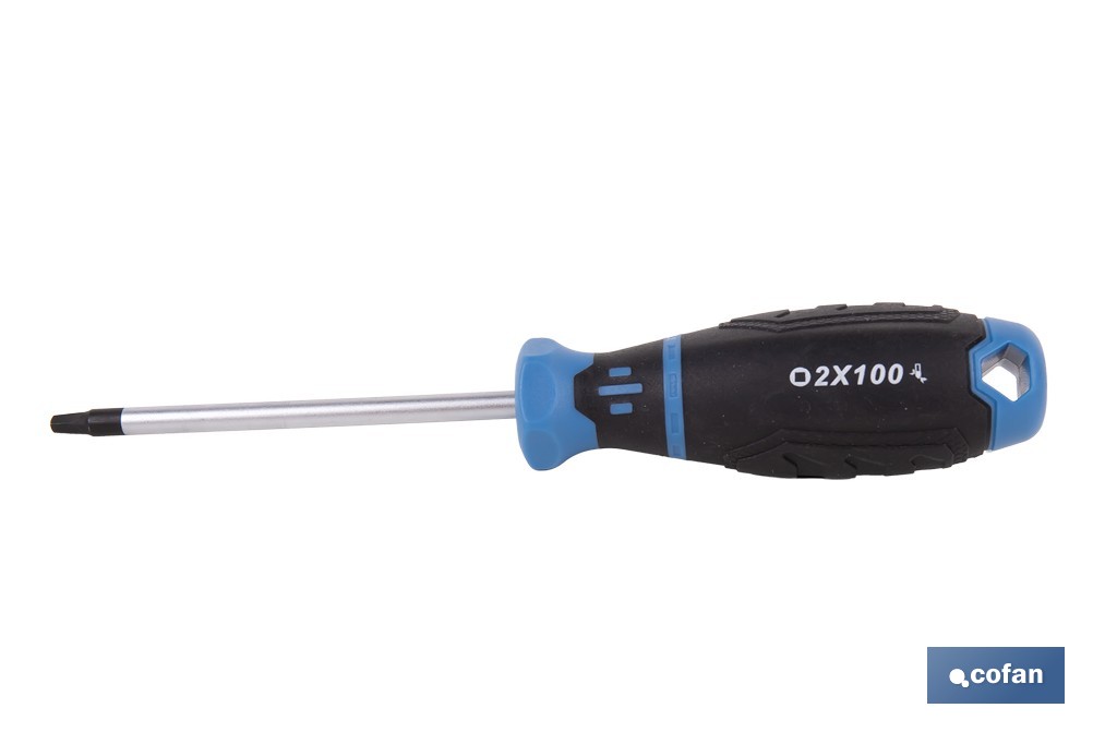Destornillador Robertson R2 × 100 mm modelo Gripforce | Punta magnética y mango antideslizante - Cofan