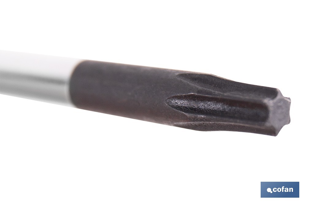 Destornillador de alta precisión Torx modelo Gripforce - Cofan