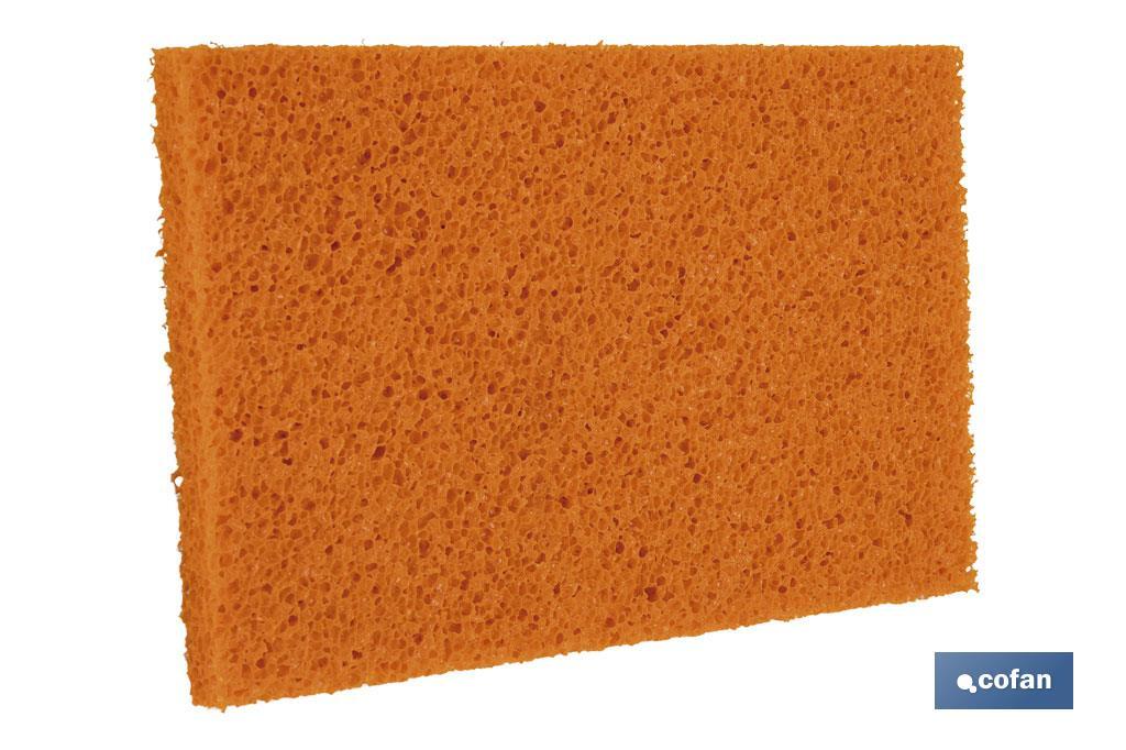 Thick sponge float | Available in different sizes | Fibreglass handle - Cofan