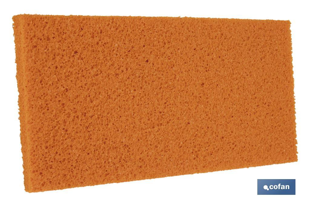 Thick sponge float | Available in different sizes | Fibreglass handle - Cofan