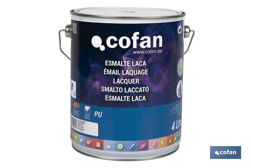 Water-based lacquer | Available in various colours | Paint buckets available in different sizes - Cofan