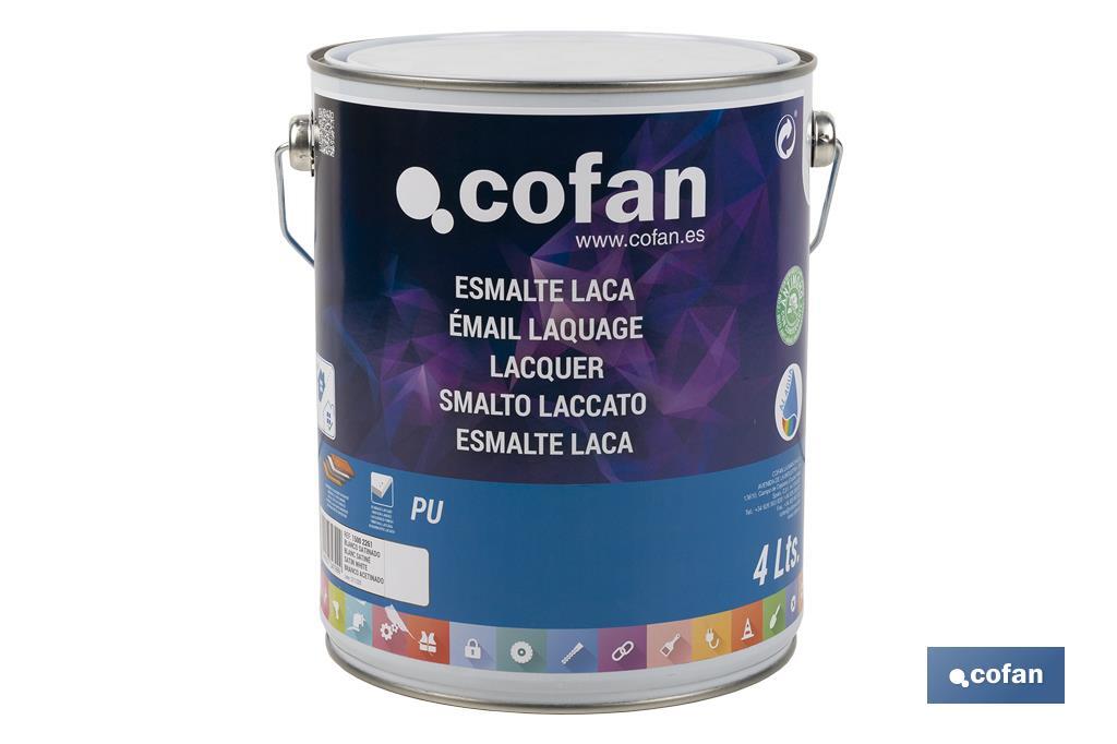 Water-based lacquer | Available in various colours | Paint buckets available in different sizes - Cofan