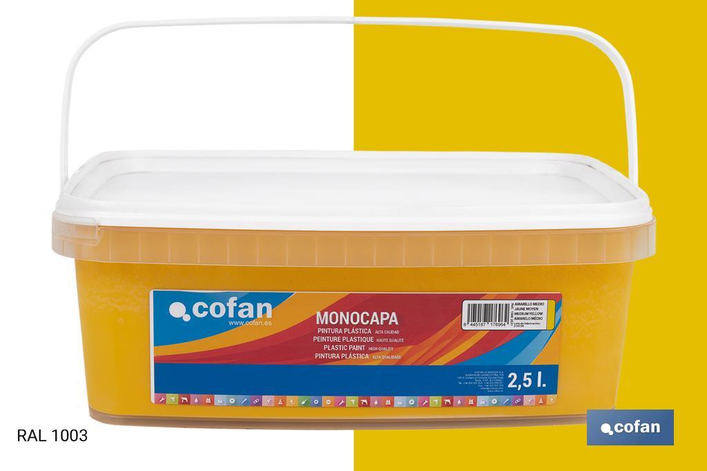 Peinture acrylique monocouche | Plusieurs couleurs | Convient pour utiliser à l'intérieur - Cofan