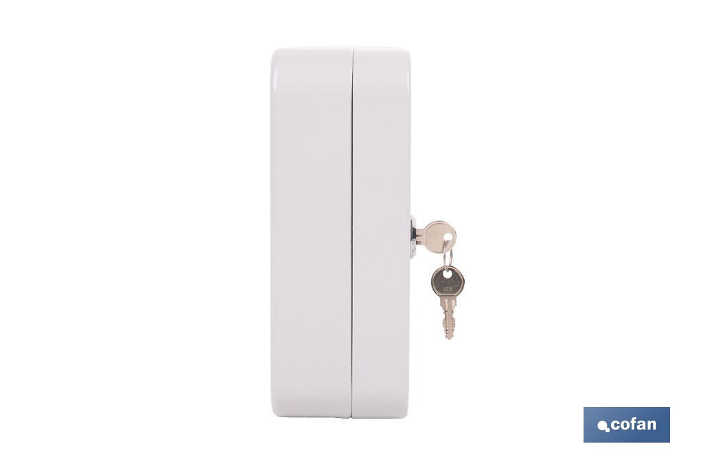 Armario metálico para llaves con cerradura | Incluye 2 llaves y kit de fijación | Disponible para 20, 40, 60 y 80 llaves - Cofan