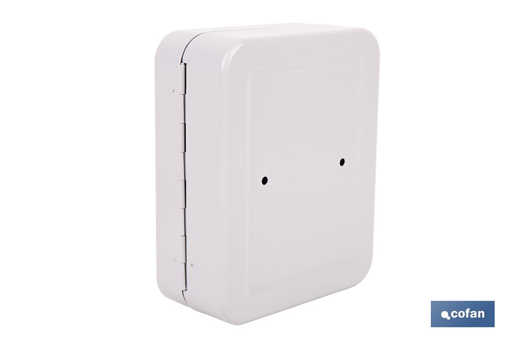 Armario metálico para llaves con cerradura | Incluye 2 llaves y kit de fijación | Disponible para 20, 40, 60 y 80 llaves - Cofan