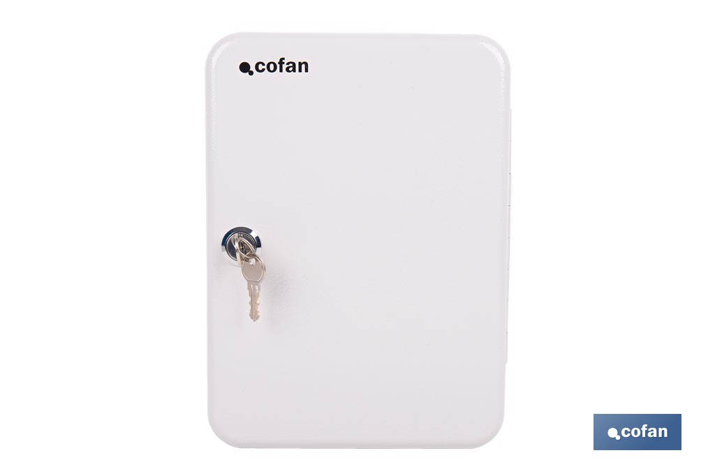 Armario metálico para llaves con cerradura | Incluye 2 llaves y kit de fijación | Disponible para 20, 40, 60 y 80 llaves - Cofan