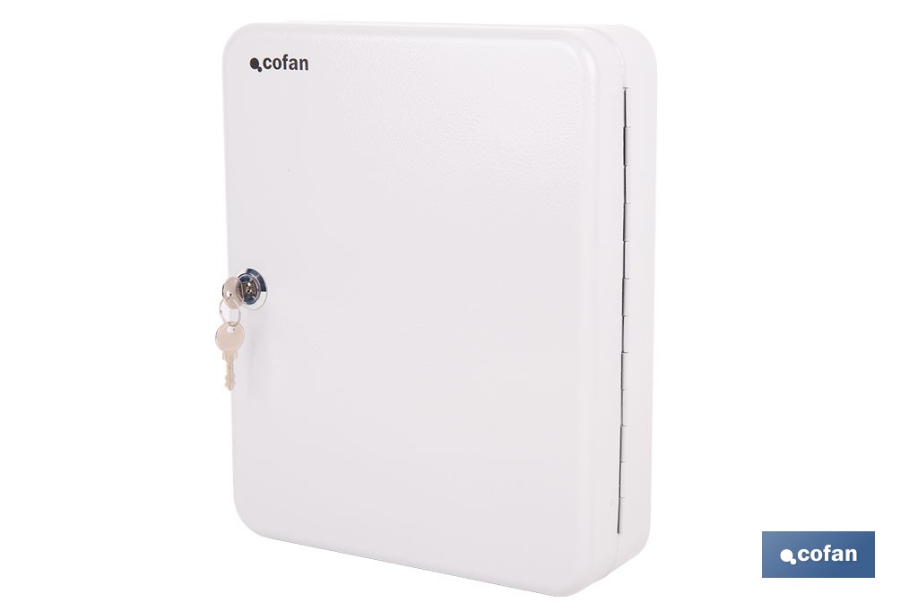 Armario metálico para llaves con cerradura | Incluye 2 llaves y kit de fijación | Disponible para 20, 40, 60 y 80 llaves - Cofan