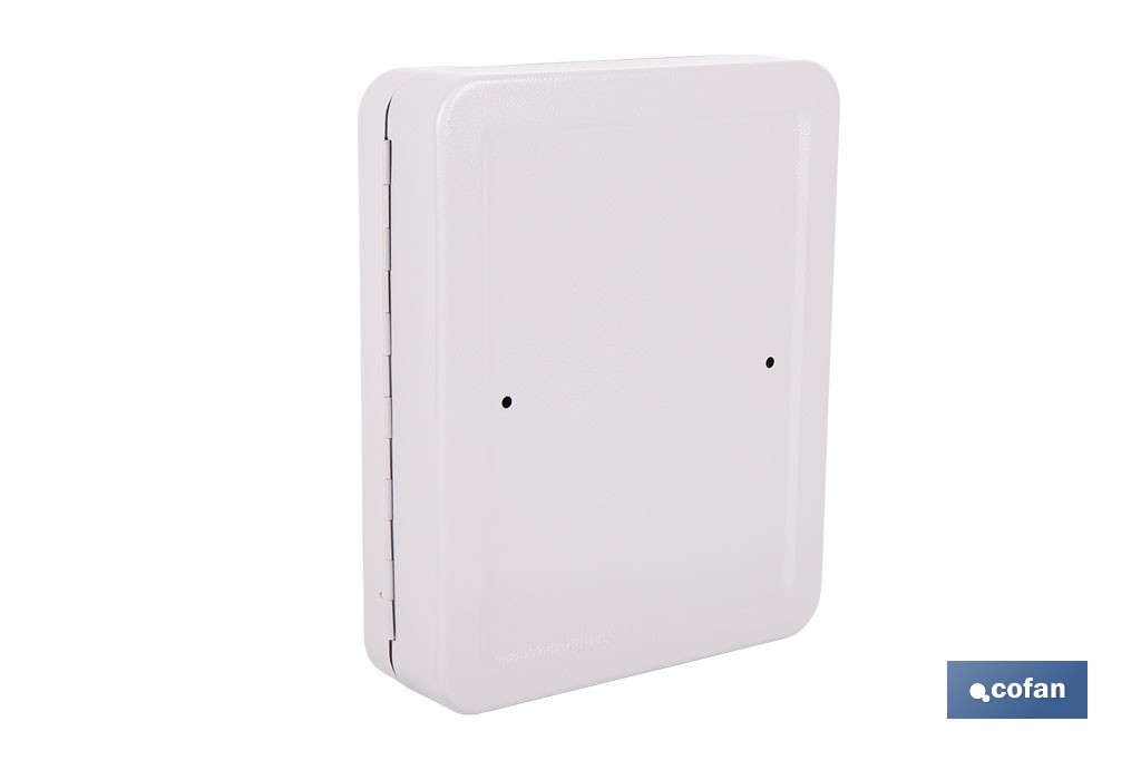 Armario metálico para llaves con cerradura | Incluye 2 llaves y kit de fijación | Disponible para 20, 40, 60 y 80 llaves - Cofan