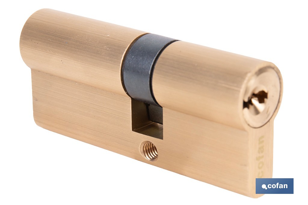 Cilindro de Seguridad de perfil europeo con llaves iguales (serie AAA) | Disponible en acabado latón con varias medidas disponibles - Cofan