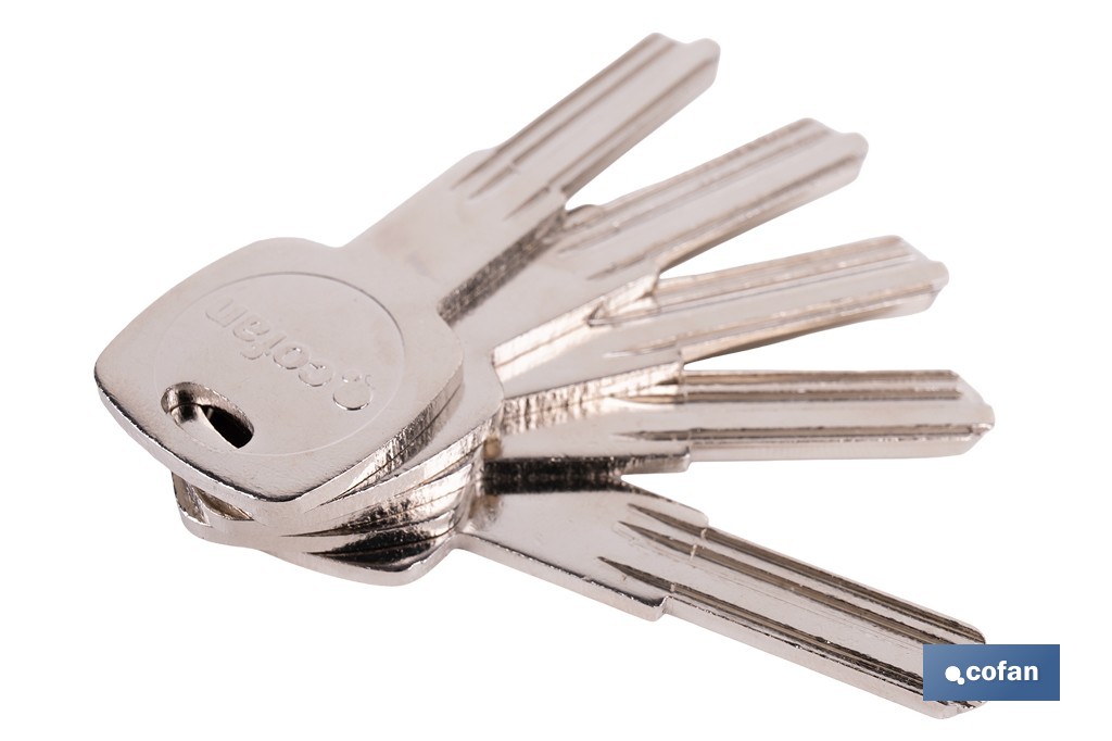 Llave en bruto para cilindros de alta seguridad | Perfil exclusivo Cofan | Copia controlada - Cofan