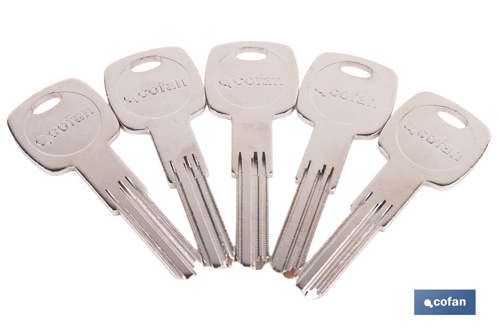 Llave en bruto para cilindros de alta seguridad | Perfil exclusivo Cofan | Copia controlada - Cofan