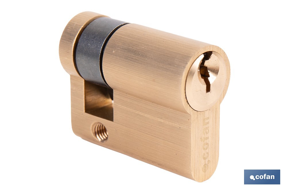 Medio Cilindro de perfil europeo 30 x 10 mm con llaves iguales (serie AAA) | Disponible en acabado latón y níquel - Cofan