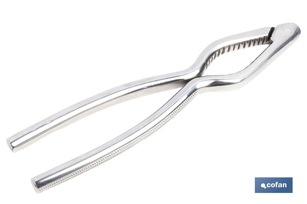 Cascanueces de acero inoxidable | Adecuado para frutos secos | Material: Acero inoxidable AISI 420 | Longitud: 18 cm - Cofan