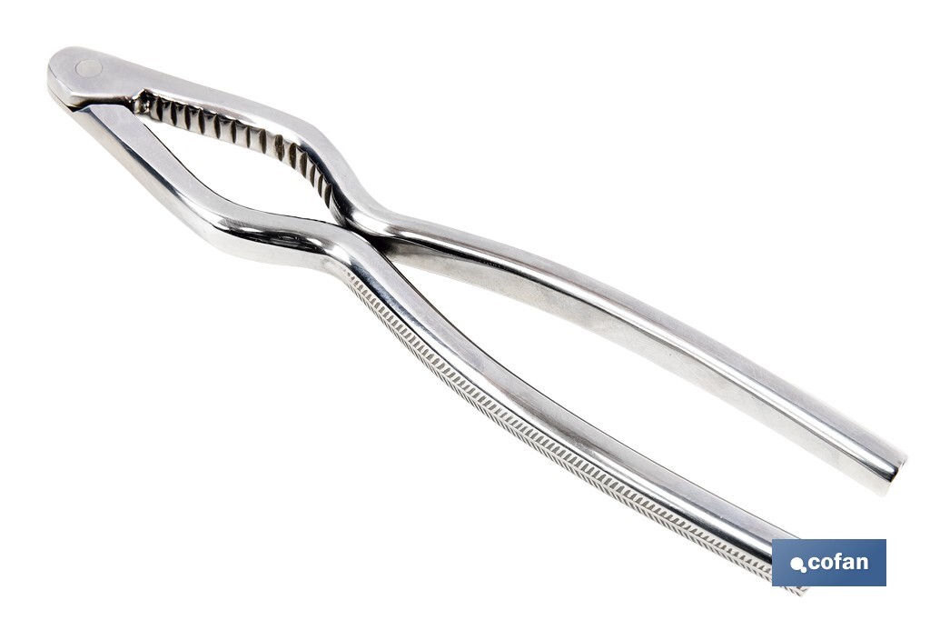 Cascanueces de acero inoxidable | Adecuado para frutos secos | Material: Acero inoxidable AISI 420 | Longitud: 18 cm - Cofan