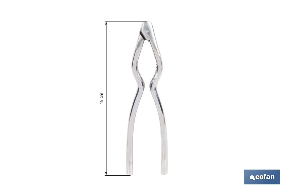 Cascanueces de acero inoxidable | Adecuado para frutos secos | Material: Acero inoxidable AISI 420 | Longitud: 18 cm - Cofan