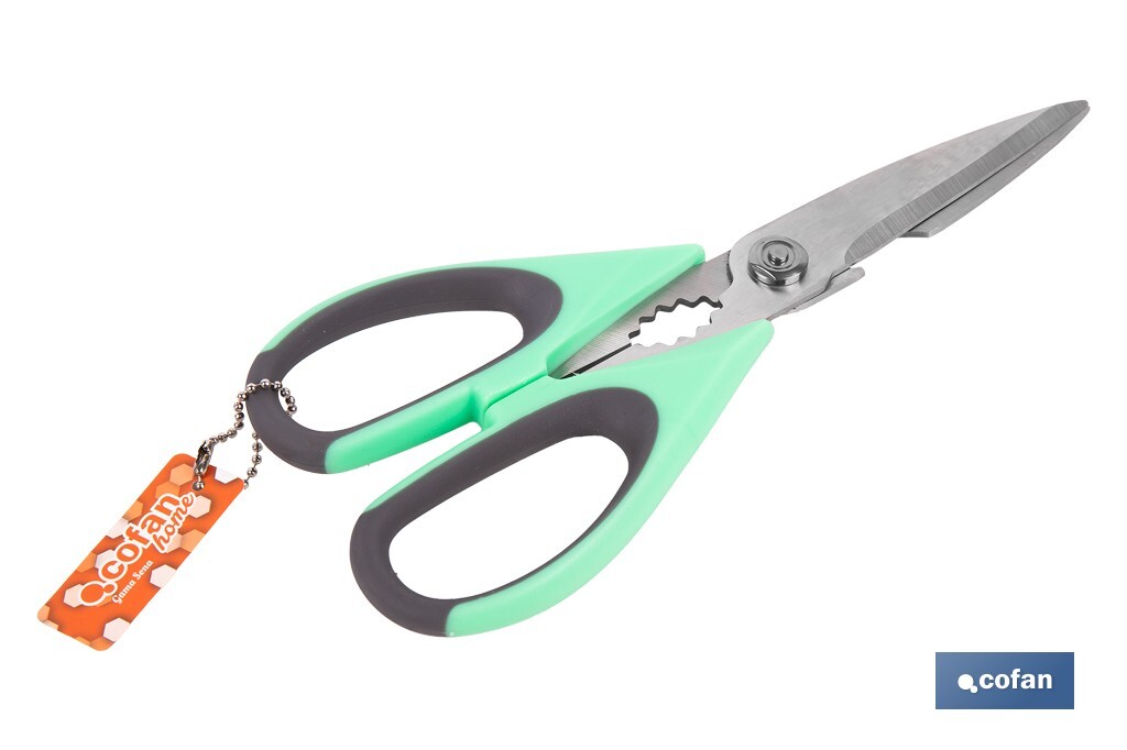 Ciseaux Multi-usages | Fabriqués en Acier Inox. | Modèle Sena | Couleur Vert Clair ou Violet | Longueur 22 cm - Cofan