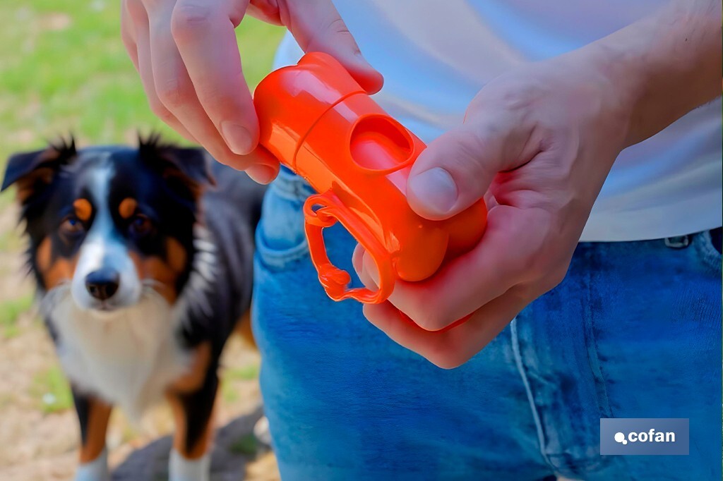 Set d'accessoires pour Chiens | Boîte avec 7 éléments | Accessoires quotidiens pour animaux de compagnie - Cofan