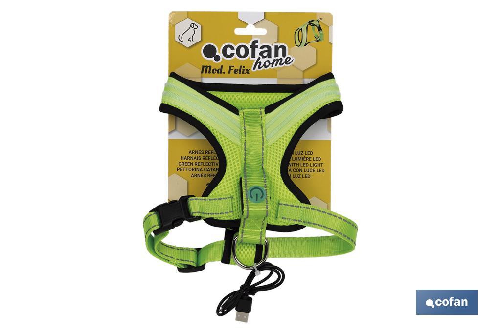 Reflective and illuminated harness with LED light | Three light intensities | Available in different sizes - Cofan