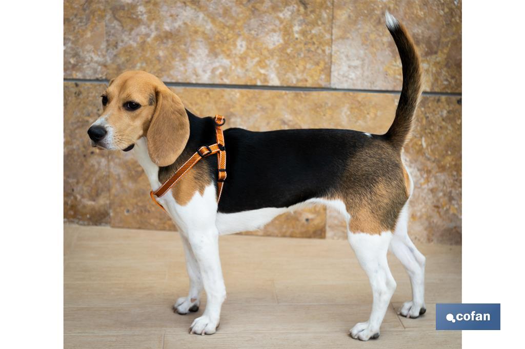 Reflective dog harness | Orange | Available in various sizes - Cofan