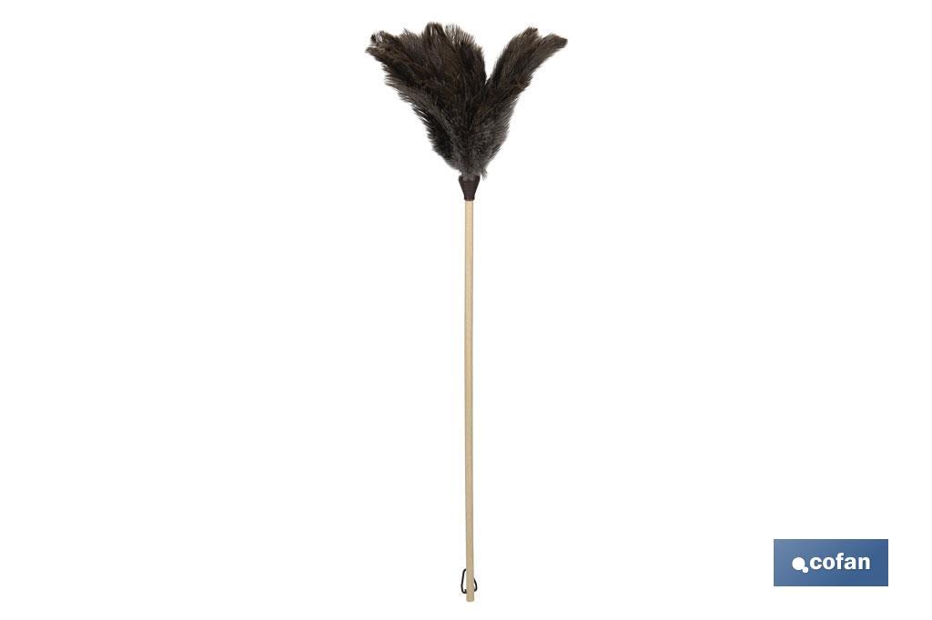 Plumero de avestruz Nº3 | Mango de madera | Plumero antiestático | Plumas naturales | Longitud: 71 cm - Cofan