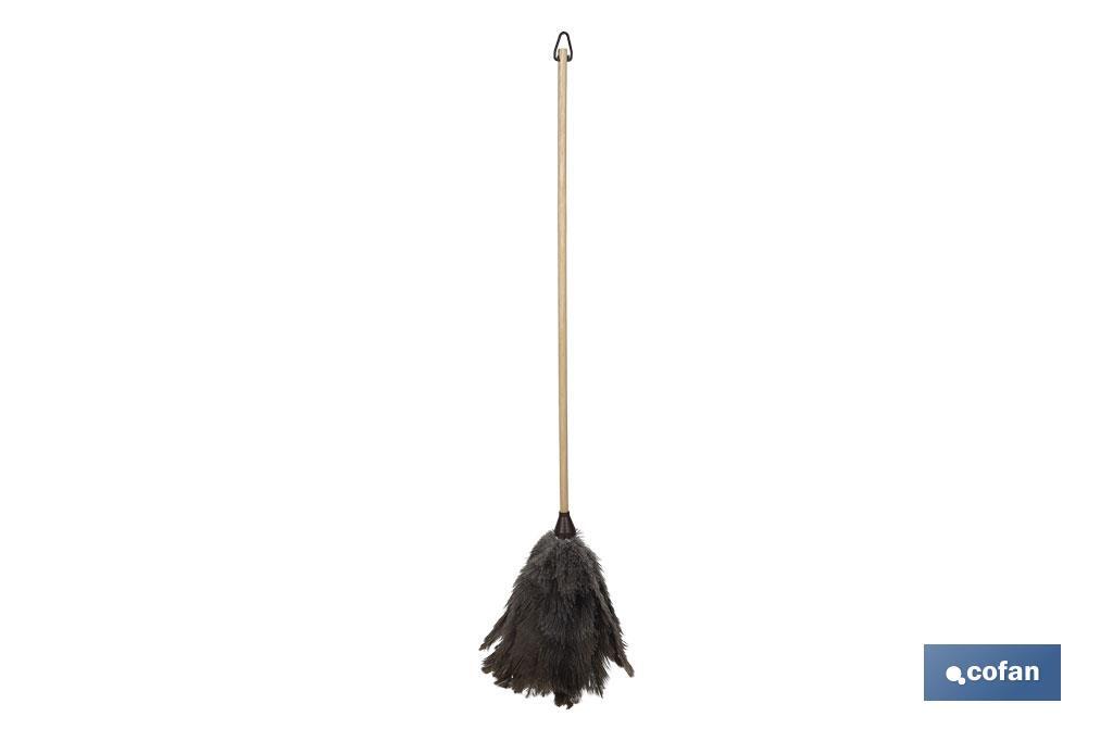 Plumero de avestruz Nº3 | Mango de madera | Plumero antiestático | Plumas naturales | Longitud: 71 cm - Cofan