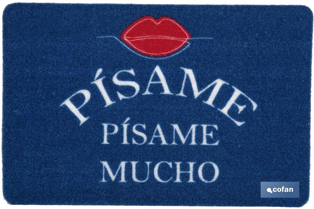 Paillasson d'entrée "Pisame" | Approprié pour l'intérieur et l'extérieur | Matériau résistant | Base antidérapante | Dimensions : 40 x 60 cm - Cofan