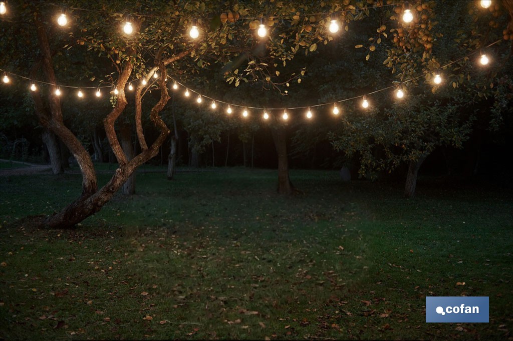 Guirnalda de bombillas LED solares | 10 bombillas A19 con panel solar | Luz cálida 3000 K, batería 120 mAh - Cofan