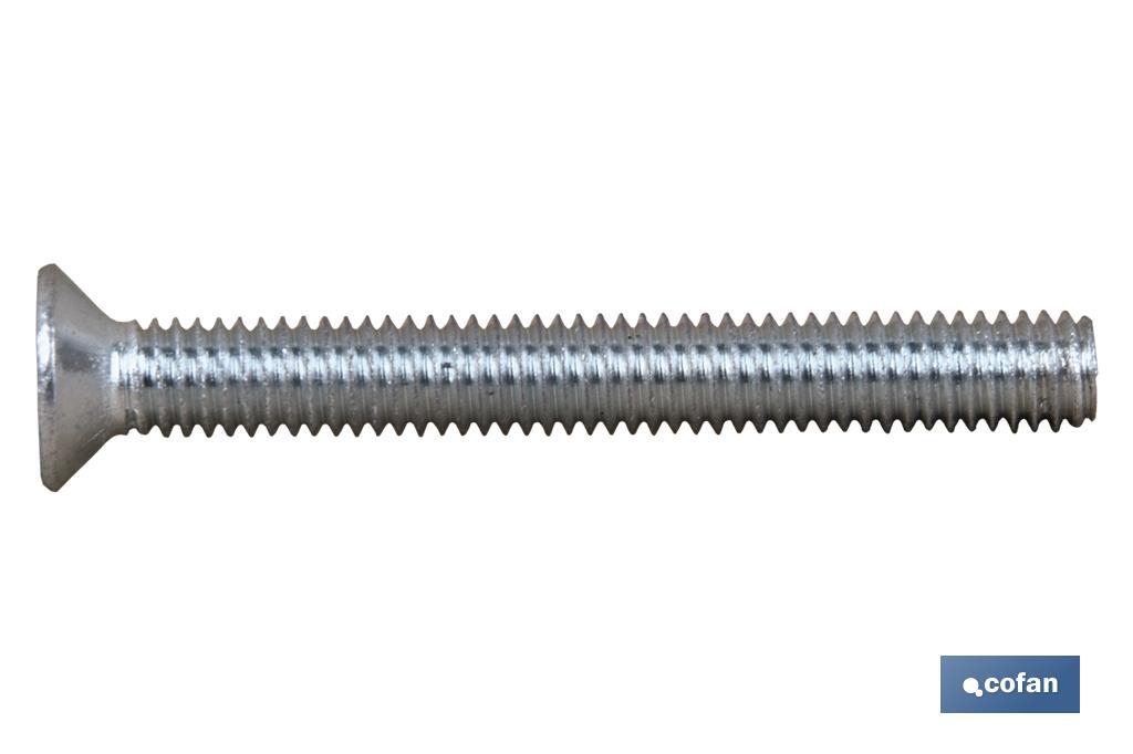 DIN 965 - Schraube. INOX A-4 - Cofan