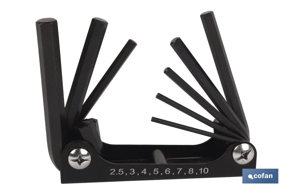 Set of hex keys | 8 pieces | Content: 2 - 2.5 - 3 - 4 - 5 - 6 - 8 - 10 - Cofan