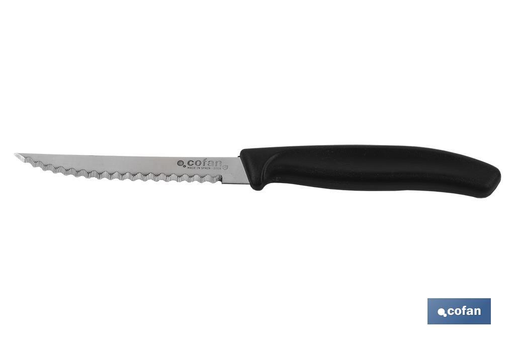 Pack de 6 unités de couteau micro-dentelés | Lame de 10,5 cm | Résistance et durabilité - Cofan