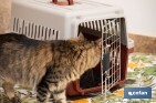 Caisse de Transport pour Animaux de Compagnie | Dimensions : 58 x 37 x 35 cm - Cofan