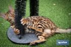 Rascador para Gatos | Cuidados para la mascota | Arco Masajeado - Cofan