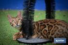 Raschietto per gatti | Cura degli animali | Arco massaggiatore - Cofan